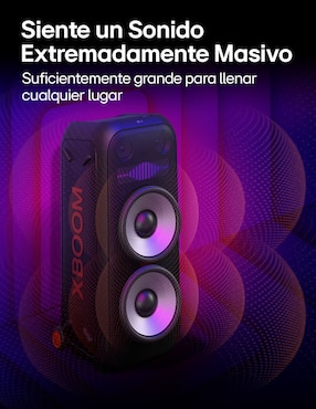 Microcomponente Lg xl9t