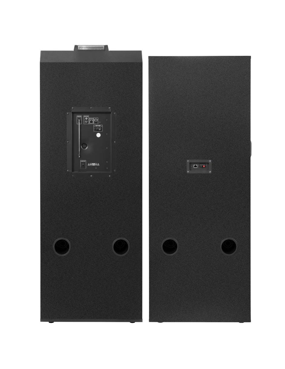Bafle de piso kds-1501 2